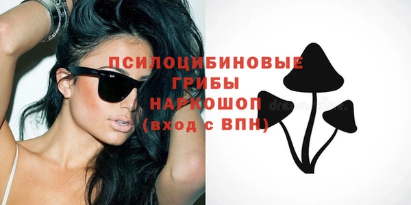 первитин Новозыбков