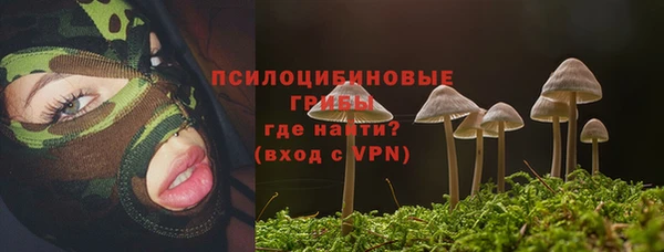 амф Алексеевка