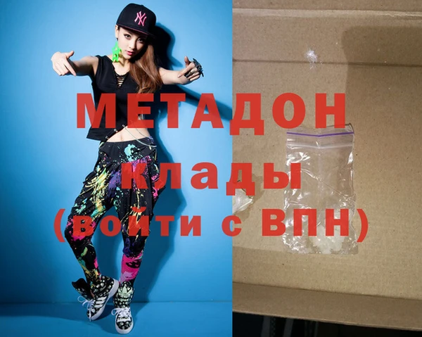 стаф Алзамай