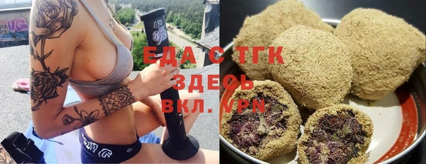 стаф Алзамай