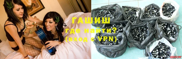 стаф Алзамай