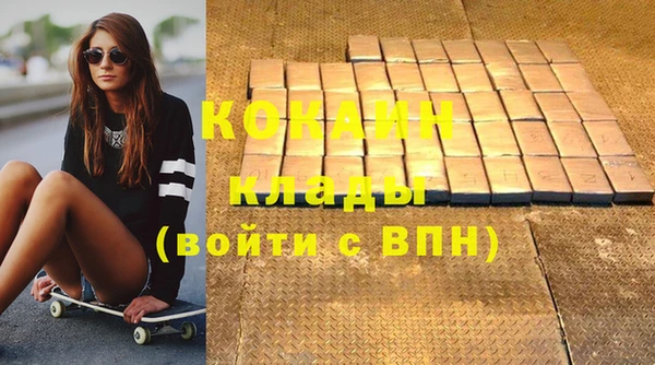 стаф Алзамай