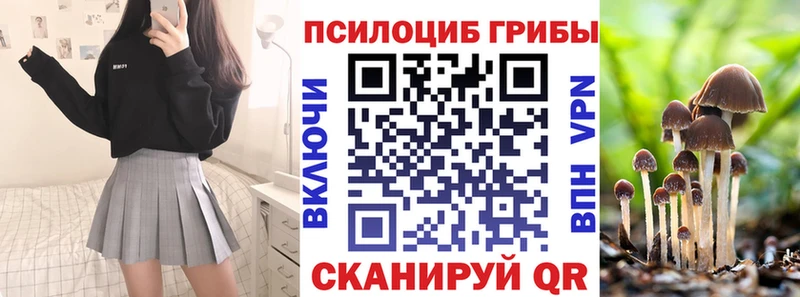 Галлюциногенные грибы MAGIC MUSHROOMS  купить  сайты  кракен как войти  Хадыженск 